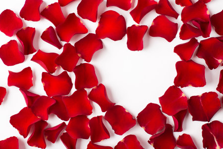 Closeup photo of background made of rose flower petals and heart shape with blank empty spaceの写真素材