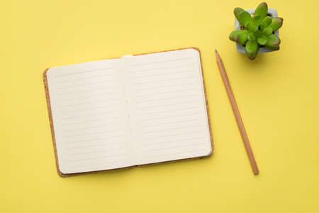 Photo overhead of notebook pencil and plant isolated on the yellow background