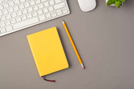 Above photo of plant keyboard computer mouse yellow notebook and pencil isolated on the gray...