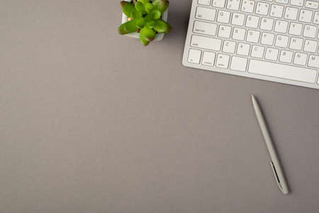 Overhead photo of green plant keyboard and pen isolated on the gray background with empty spaceの写真素材
