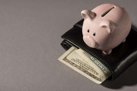 Above photo of moneybox pink pig black wallet with money dollars cash inside isolated on the gray background with copyspaceの写真素材