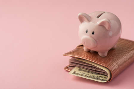 Closeup photo of piggy bank on leather wallet with dollars on isolated pink background with copyspaceの写真素材