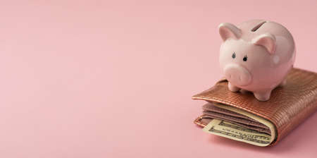 Closeup photo of piggy bank on leather wallet with dollars on isolated pink background with...