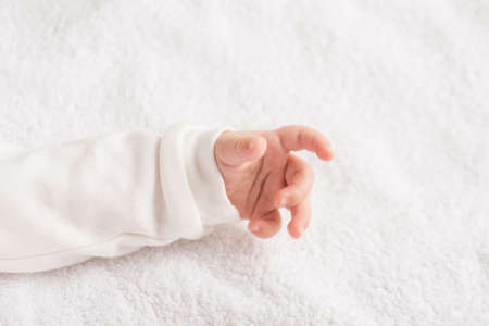 Closeup photo of newborn's tiny hand on isolated white textile backgroundの写真素材