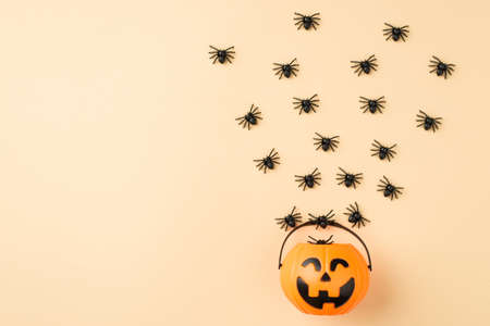 Top view photo of spiders crawling out of the pumpkin basket on isolated beige background with...