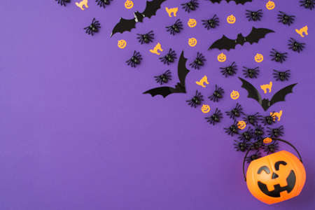 Top view photo of halloween decorations orange cats pumpkins silhouettes spiders and bats crawling and flying out of the pumpkin basket on isolated violet background with copyspaceの写真素材