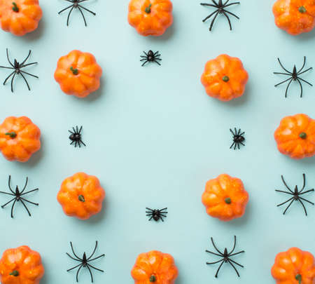 Top view photo of halloween decorations composition small pumpkins and spiders on isolated light blue background with empty space in the middleの写真素材