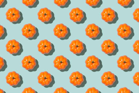 Top view photo of orange pumpkins on isolated light blue background