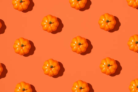 Photo of orange pumpkins on isolated purple backgroundの写真素材