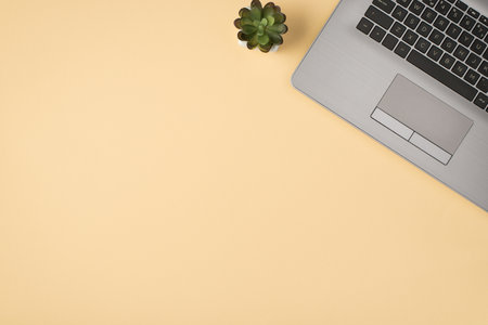 Above photo of laptop and plant isolated on the beige backdrop with empty spaceの写真素材