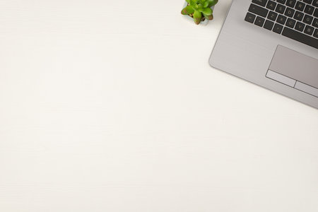 Top view photo of laptop and flowerpot on isolated white wooden table background with copyspaceの写真素材