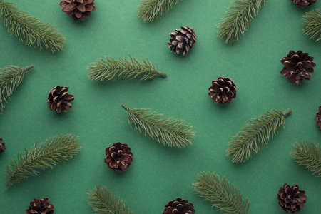 Top view photo of pine twigs and cones on isolated green background