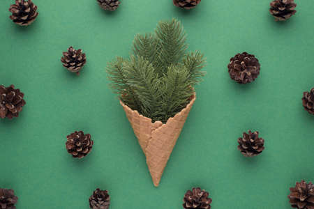 Top view photo of christmas decorations ice cream cone with pine twigs and pine cones on isolated green backgroundの写真素材