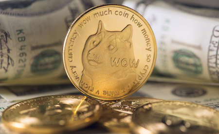 Closeup photo of gold coin with dogecoin symbol and dollar billsの写真素材