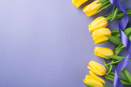 Top view photo of woman's day composition yellow tulips and curly violet ribbon on isolated pastel purple background with blank spaceの写真素材