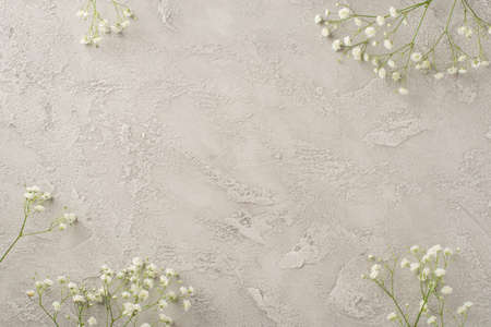 Top view photo of woman's day composition white gypsophila flowers on isolated textured gray concrete background with copyspace in the middleの写真素材