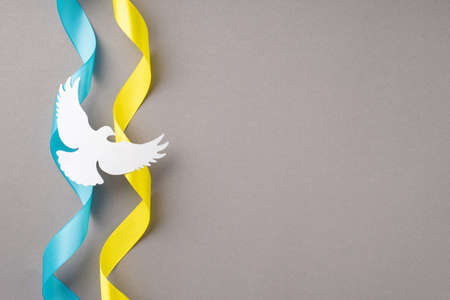 Stop the war in Ukraine concept. Top view photo of national flag curly ribbons and white dove silhouette on isolated gray background with copyspaceの写真素材