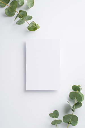 Top view vertical photo of paper sheet and eucalyptus on isolated white background with blank spaceの写真素材