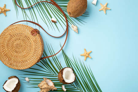 summer concept. Top view photo of round rattan bag coconuts starfishes shells and palm leaves on isolated pastel blue backgroundの写真素材