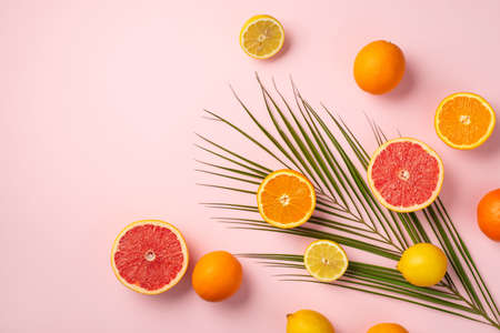 summer concept. Top view photo of tropical fruits cut lemons oranges grapefruits and green palm leaves on isolated pastel pink backgroundの写真素材