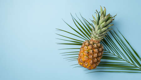 summer concept. Top panoramic view photo of pineapple over palm leaves on isolated pastel blue...