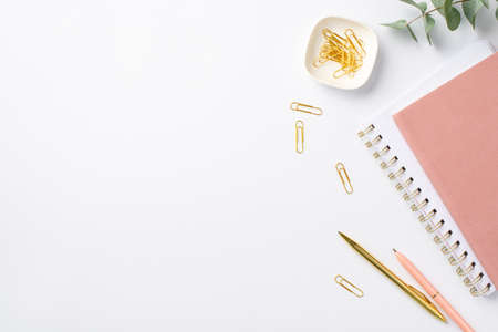 business concept. Top view photo of workspace stationery pink copybooks clips pens and eucalyptus on...