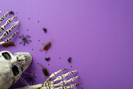 Halloween concept. Top view photo of skull skeleton hands spiderweb spiders cockroaches centipedes and confetti on isolated violet background with copyspaceの写真素材