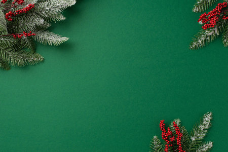 Christmas Eve concept. Top view photo of mistletoe berries and pine branches in hoarfrost on isolated green background with empty spaceの写真素材