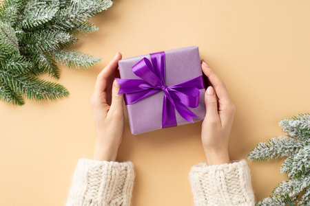 Christmas Eve concept. First person top view photo of female hands in white knitted jumper holding purple giftbox with violet ribbon bow and pine branches in snow on isolated pastel beige backgroundの写真素材
