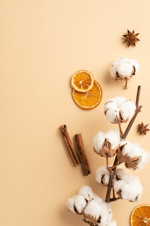 Top view vertical photo of cotton branch dried orange slices anise and cinnamon sticks on isolated beige background with copyspaceの写真素材