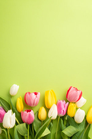 Women's day concept. Top view vertical photo of a lot of spring flowers pink yellow and white tulips on isolated light green background with copyspaceの写真素材