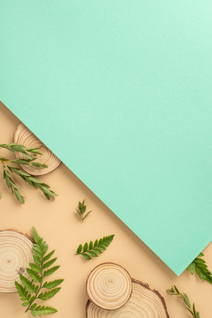 Herbal natural products concept. High angle view photo of fern and eucalyptus branches and round wooden stands on beige and teal background with copy-spaceの写真素材