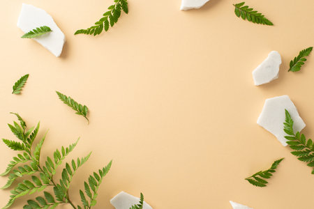 Simple nature design concept. High angle view photo of fern branch and foliage with white stones...