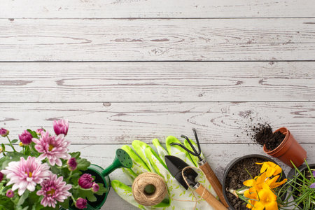Floral garden flat lay top view with budding blooms: chrysanthemums, crocus, and essential gardening tools like watering can, trowel, spade, gloves, on rustic wooden backdrop, space for text or advertの写真素材