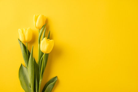 Beautiful yellow tulips arranged against a matching vibrant background, evoking spring colors and freshnessの写真素材