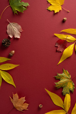 A vertical composition showing colorful autumn leaves scattered on a deep red background with pine cone and acorn accents for a warm fall moodの写真素材