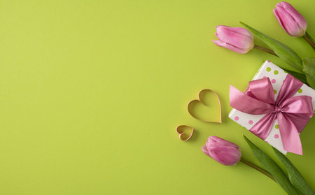 A vibrant celebration themed image featuring pink tulips and a pink gift box on a lime green backdrop. Perfect for International Women's Day greetings, gifts, and appreciation messagesの写真素材