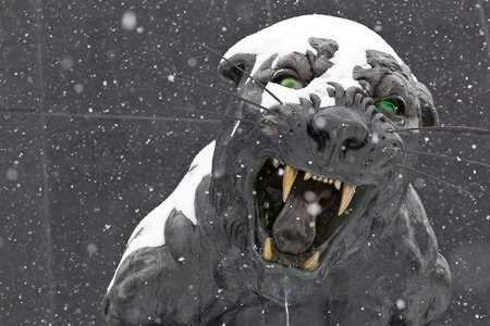 Bank of America Stadium in uptown Charlotte, North Carolina, USA.の写真素材