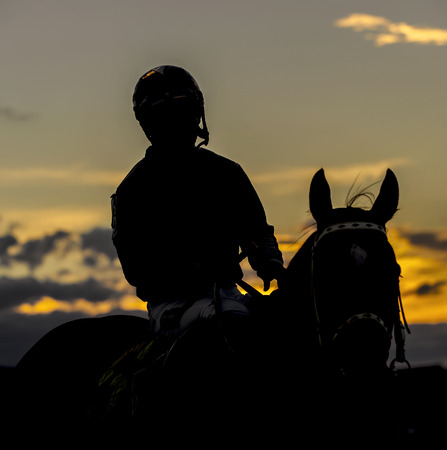 Images of horses and their riders at a horse raceの写真素材