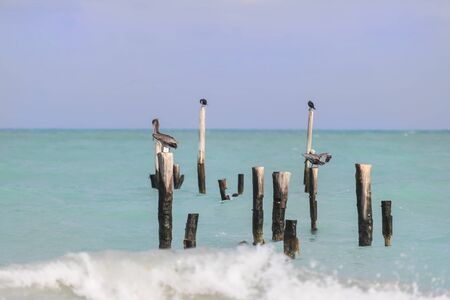 A Caribbean beach with green water and blue skies.の写真素材