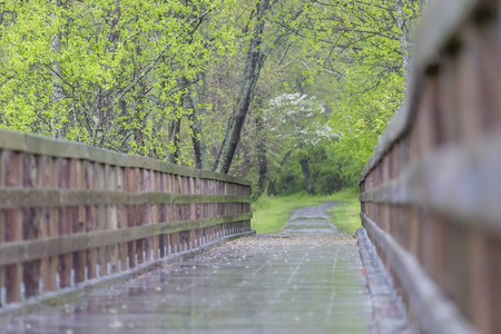 A Bridge during a rain storm in a rural environmentの写真素材