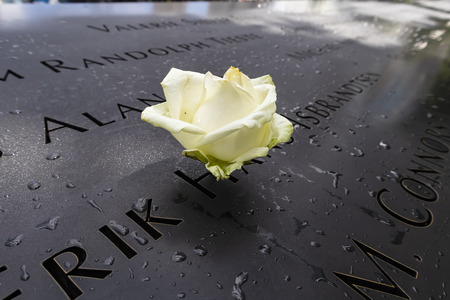 Views of the World Trade Center and Freedom Tower in downtown New York Cityのeditorial素材