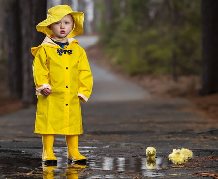 A small child plays in the rain while little chicks try to get a drink of waterの写真素材