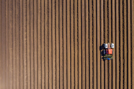 Aerial view of farmers working in a field gathering crops for consumers