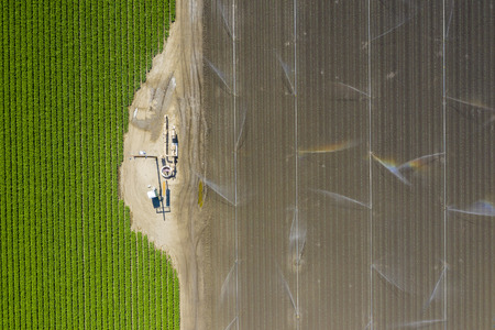Aerial view of farmers working in a field gathering crops for consumersのeditorial素材