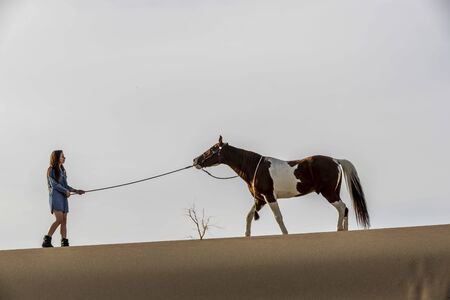 A young brunette female spends time with her horse in a desert environment