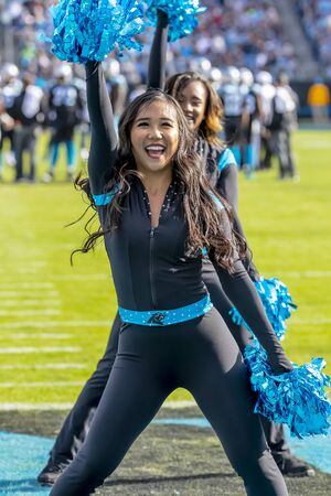 November 25, 2018 - The Carolina Topcats perform as the Panthers play host to the visiting Seattle Seahawks at Bank Of America Stadium in Charlotte, NC.  The Panthers lose to the Seahawks, 30-27.  のeditorial素材