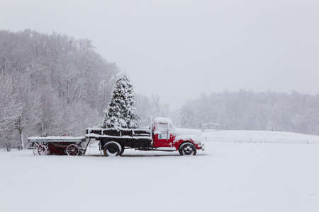 A snow covered truck with a pine tree in the truck bed waiting to be delivered for Christmas during a snow stormの写真素材