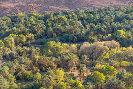 Traditional village in the oasis of Ziz Valley near Errachidia, Morocco, Africaの写真素材