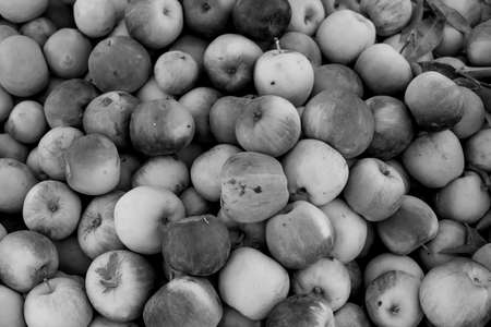 Small fruits, vegetables, and meats are sold in the open market in the blue city Medina of Fez, Morocco, Africa.の写真素材